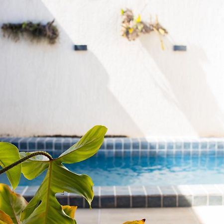 Casa Kayak - Villa Remo Milagres Piscina Privativa São Miguel dos Milagres المظهر الخارجي الصورة